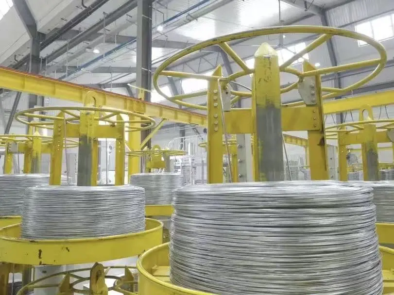 Craftsmanship Unveiled: The "Cost Trap" and "Game-Changing Solution" Hidden in Poultry Cage Floor Wiring