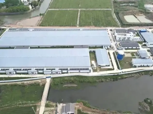 Certified Humane Transport: Getting Your Vehicles Audit-Ready