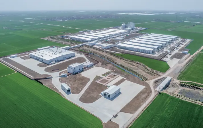 3 Million Egg Chicken Full Industry Chain Project（EPC）in Luohe, Henan Province)