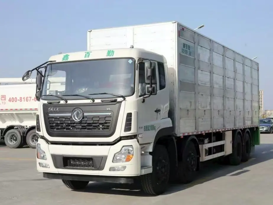 2025 Global Standards for Animal Transport Vehicles: Are You Compliant?