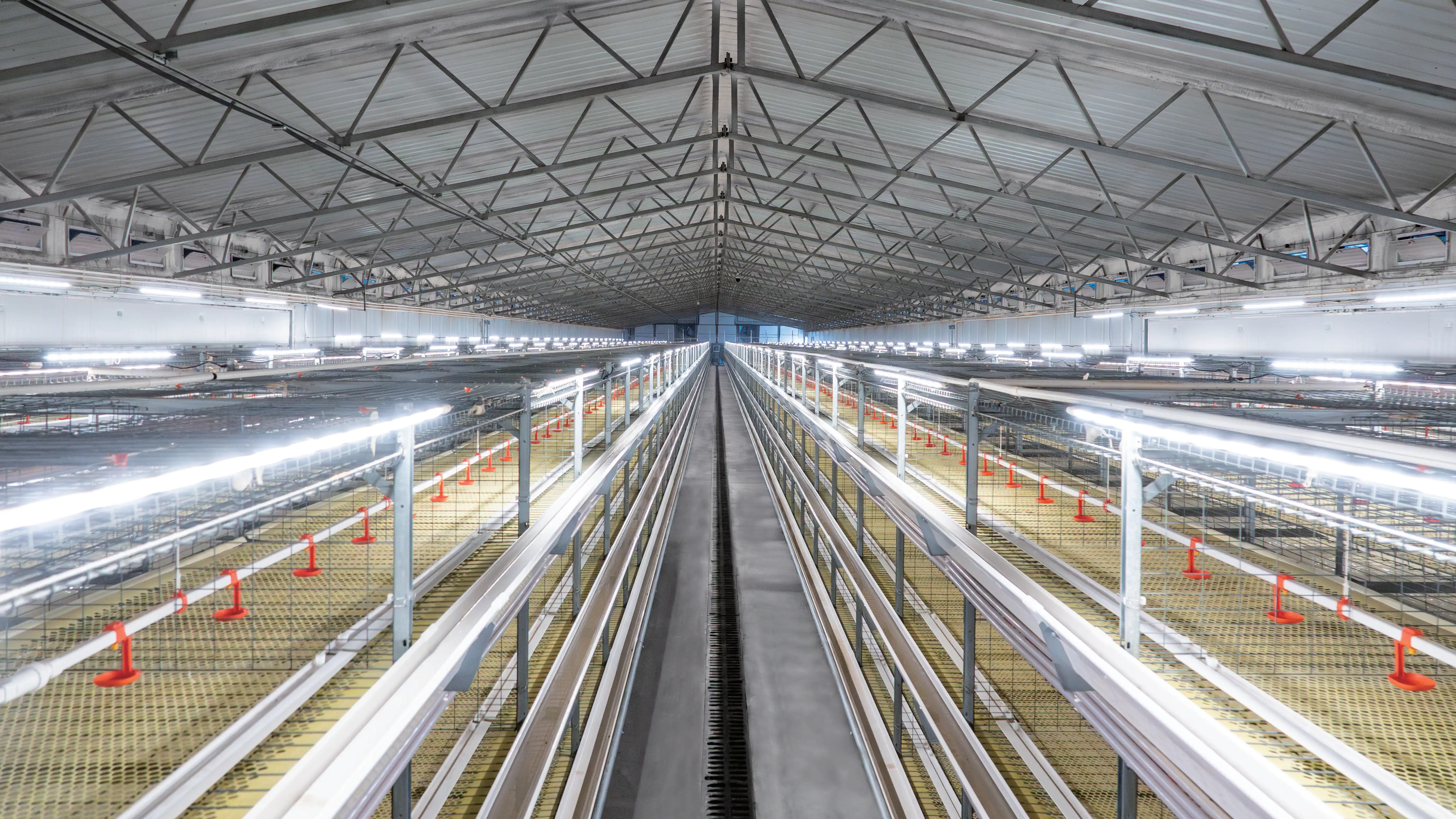 Livestock Farming Equipment 